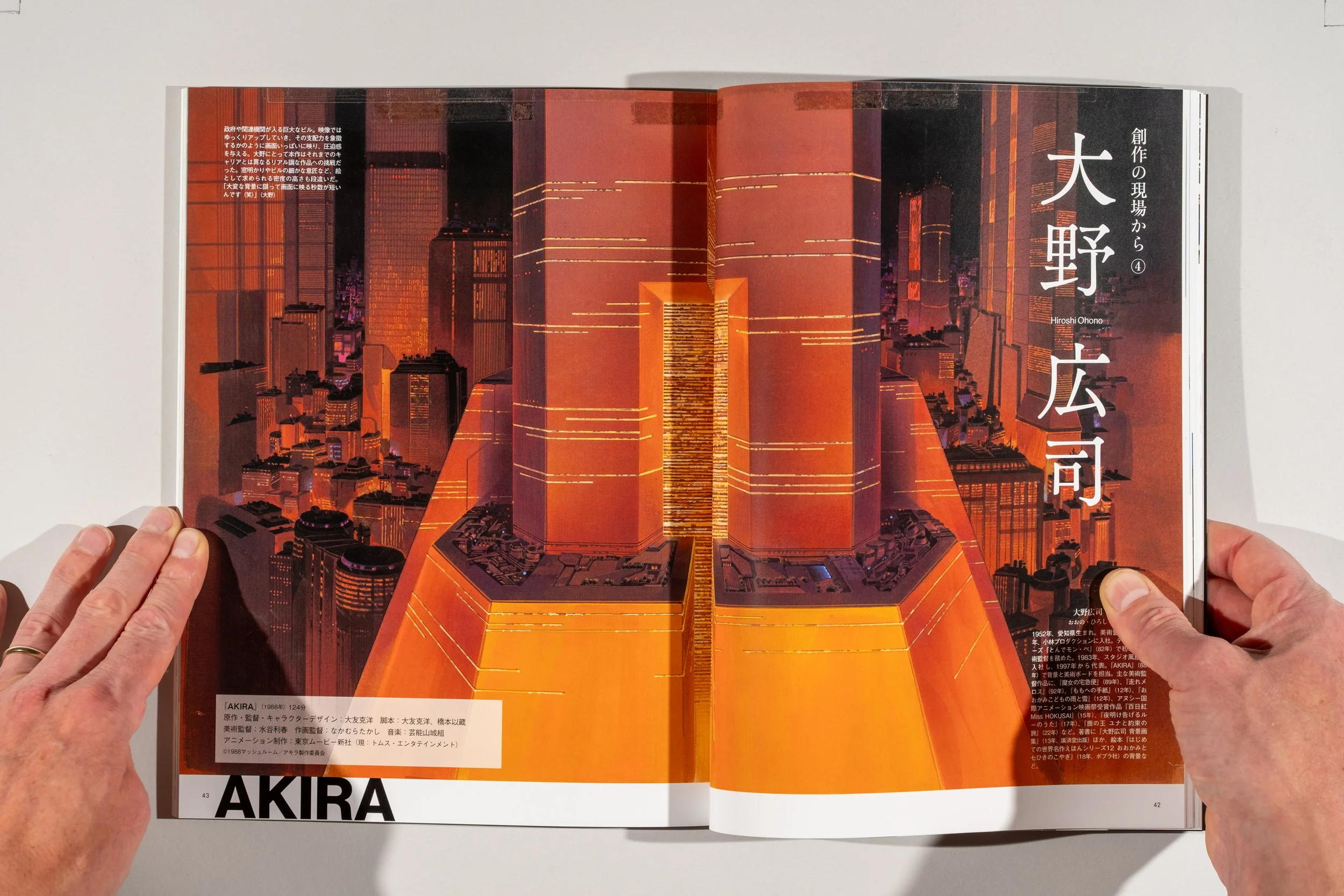 Anime Architecture (signed) — Riekeles Gallery